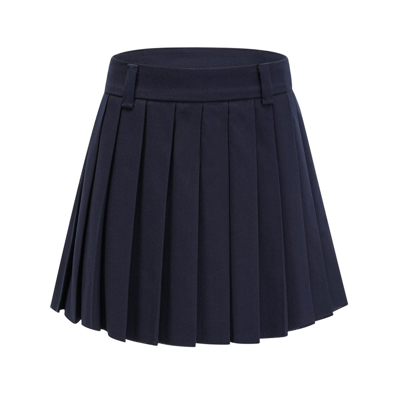 Lesly Navy Blue A-Line Embroidered Pleated Skirt