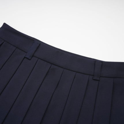 Lesly Navy Blue A-Line Embroidered Pleated Skirt