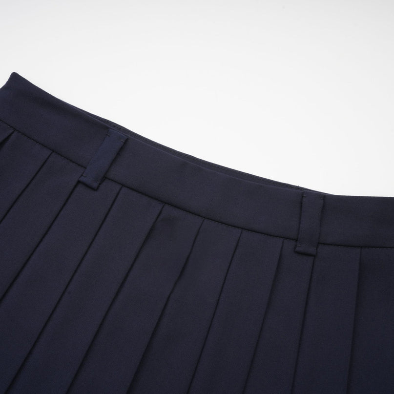 Lesly Navy Blue A-Line Embroidered Pleated Skirt