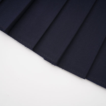 Lesly Navy Blue A-line Embroidered Pleated Skirt