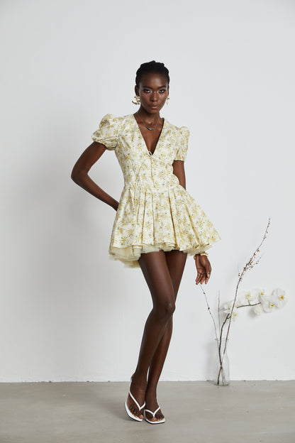 Liane floralprint pleated mini dress