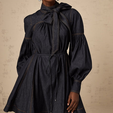 Lodovica Mini Dress Contrast-stitch Denim in Blue with Mock Neck and Pleated Detailing