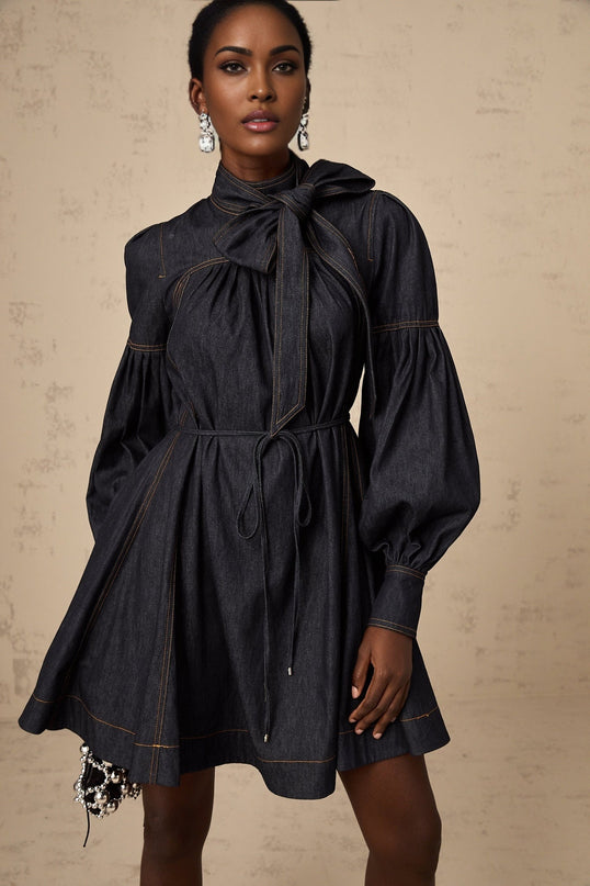 Lodovica Mini Dress Contrast-stitch Denim in Blue with Mock Neck and Pleated Detailing