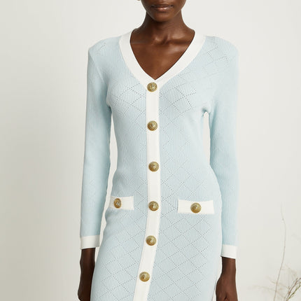 Lorelei Blue and White Mini Dress Check with Gold-Tone Buttons