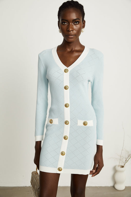 Lorelei Blue and White Mini Dress Check with Gold-Tone Buttons