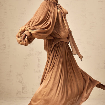 Luciana Brown Ribbon Tie-Neck Satin Maxi Dress