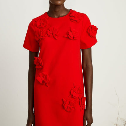 Mackenzie Red Floral Applique Mini Dress