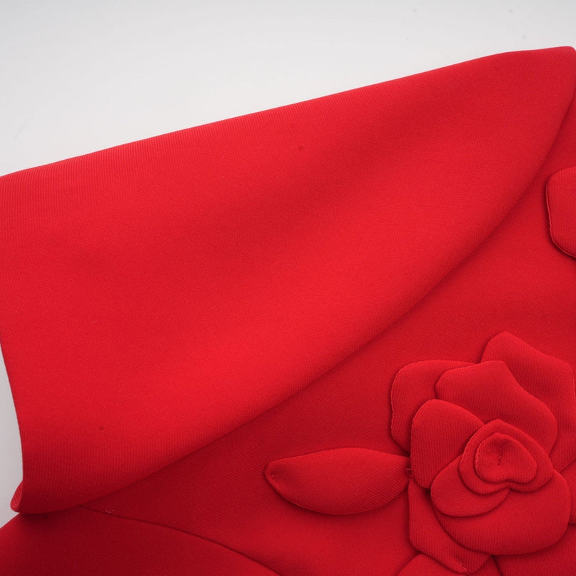 Mackenzie Red Floral Appliqué Mini Dress