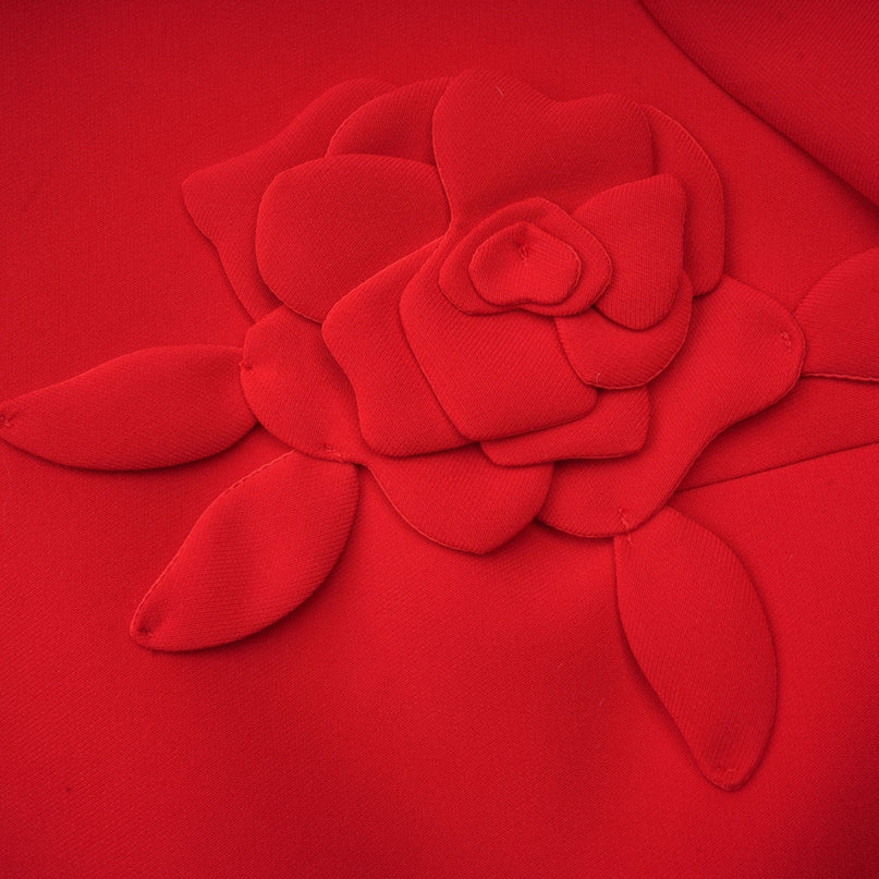 Mackenzie Red Floral Appliqué Mini Dress