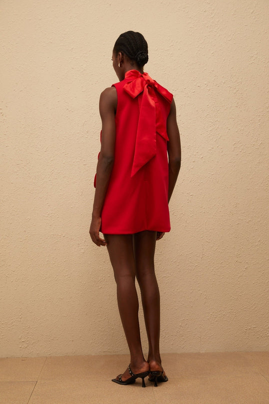 Nadia Mini Dress in Red with Rose Appliqué Detailing and Turtleneck