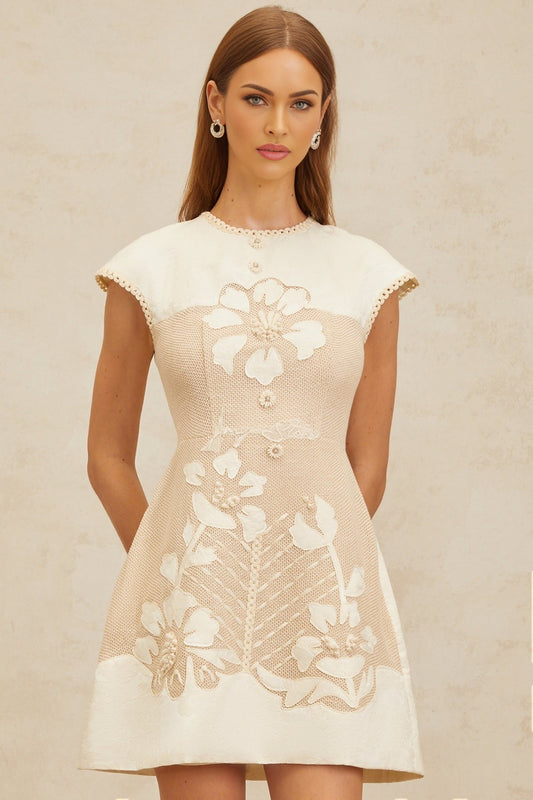 Neutrals A-line Mini Dress with Crochet Panelling and Floral Embroidery