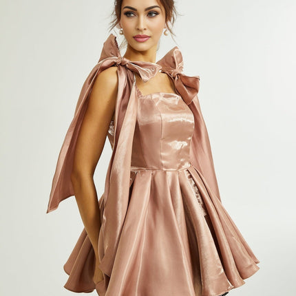 Olga Brown Bow Detail Flare Mini Dress