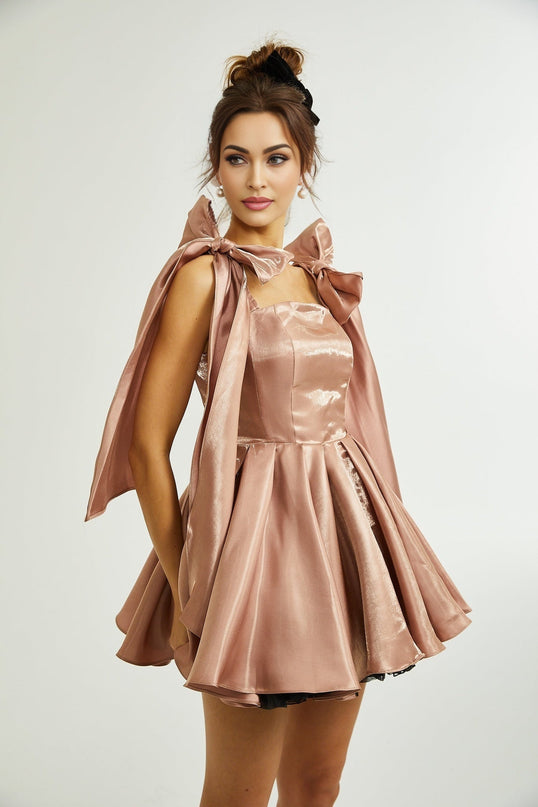 Olga Brown Bow Detail Flare Mini Dress