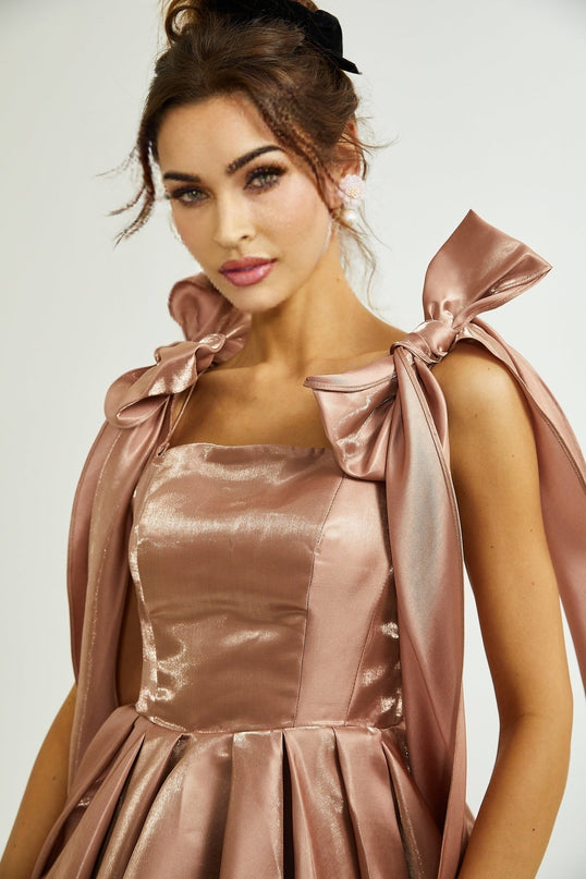 Olga Brown Bow Detail Flare Mini Dress
