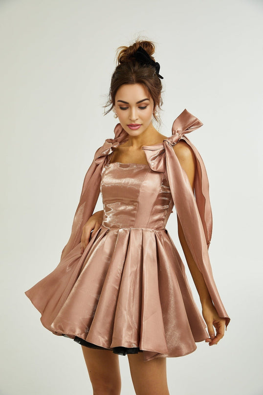 Olga Dress Bow Detail Flare Mini Brown