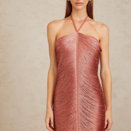 Polliana Pink Fringed Corset Maxi Gown in Pink