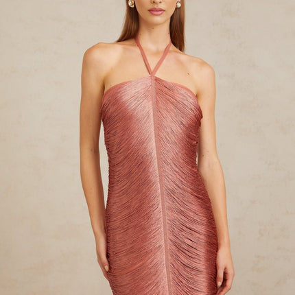 Polliana Pink Fringed Corset Maxi Gown in Pink