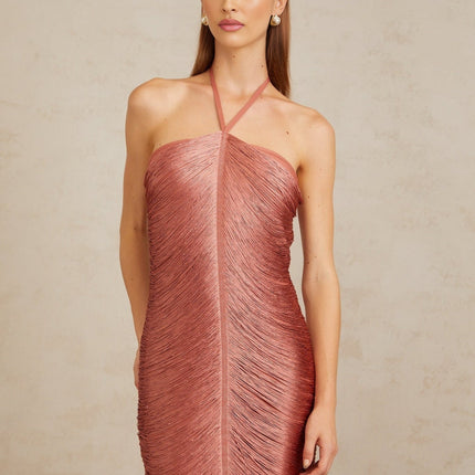 Polliana Pink Fringed Corset Maxi Gown in Pink