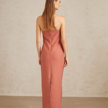 Polliana Pink Fringed Corset Maxi Gown in Pink