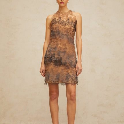 Presley Brown Grey Lace Mini Dress A-Line Frayed Detailing