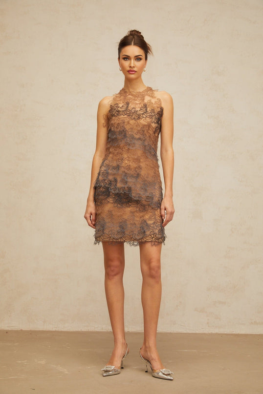 Presley Brown Grey Lace Mini Dress A-Line Frayed Detailing