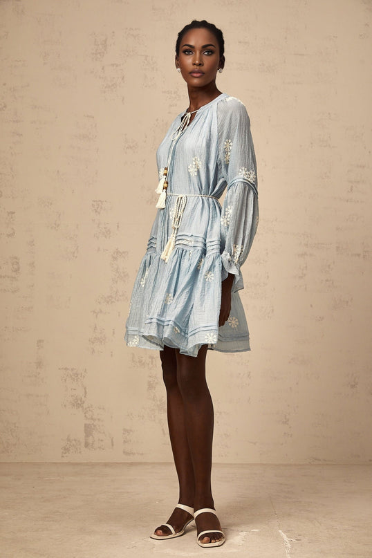Rosalie Blue Embroidered Mini Dress