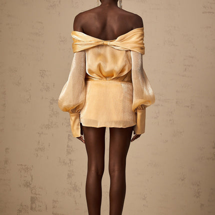 Ruby Gold Crystal Embellished Mini Dress