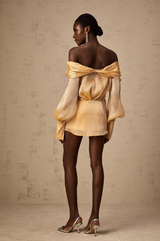 Ruby Gold Crystal Embellished Mini Dress