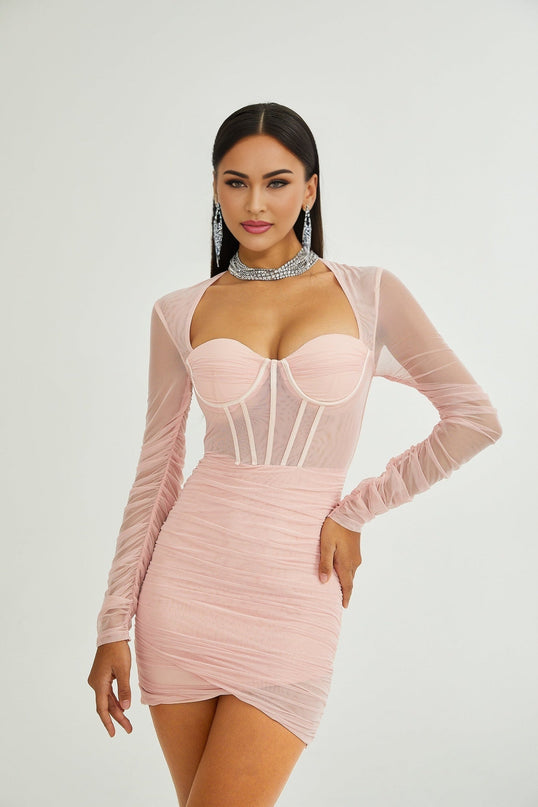 Savannah Pink Long Sleeved Dress mesh bustier cinched waist pleated detailing rear zip fastening thigh-length modern edge classic sophistication 80% cotton 20% polyester