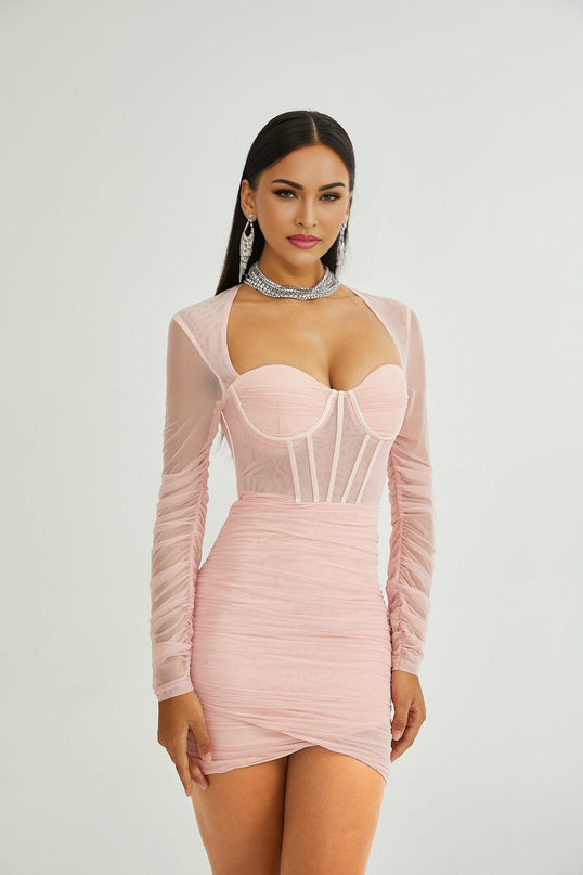 Savannah Pink Mesh Bustier Long Sleeved Dress with Cinched Waist and Pleated Detailing