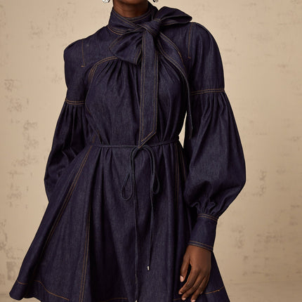 Sloan Dark Blue Denim Mini Dress with Contrast Stitching and Flare Trim