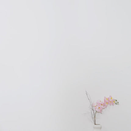 Solada embellished floralprint maxi dress