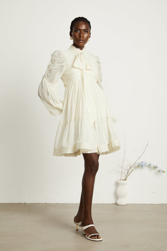 Thibaulte tuckdetail pleated tulle mini dress