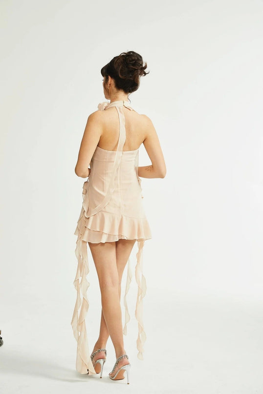 Tonia Neutrals Floral Trim Mini Dress