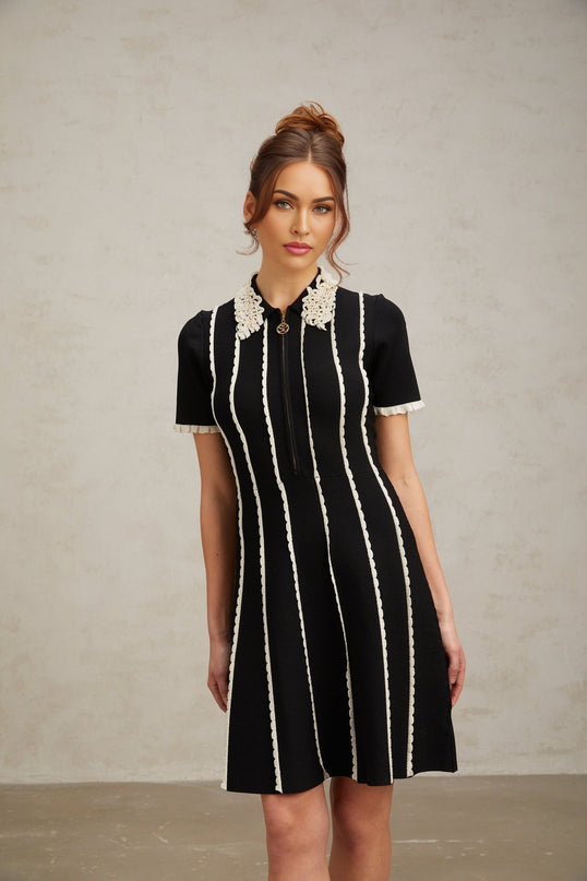 Valeria Black Vertical Stripe Ruffle Mini Dress