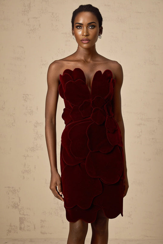 Victoria Red Floral Appliqué Layered Mini Dress