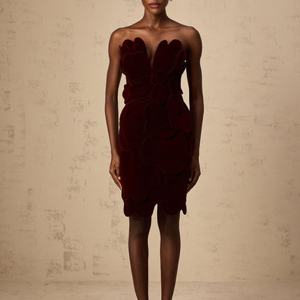 Victoria Red Floral Appliqué Layered Mini Dress