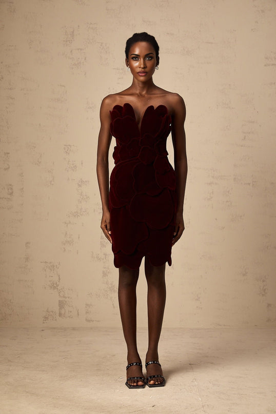 Victoria Red Floral Appliqué Layered Mini Dress