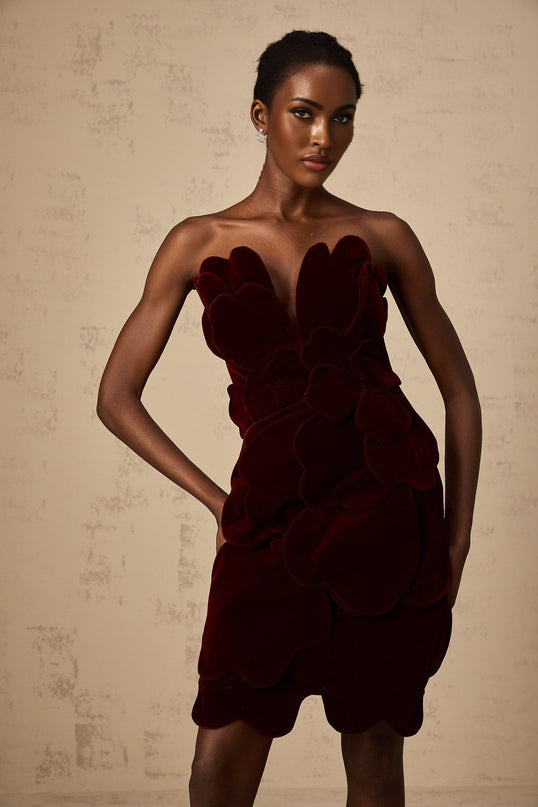 Victoria Red Floral Appliqué Layered Mini Dress