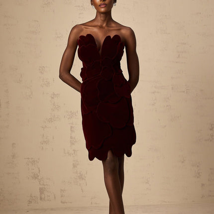 Victoria Red Floral Appliqué Layered Mini Dress