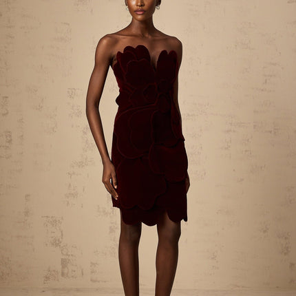 Victoria Red Floral Applique Layered Mini Dress