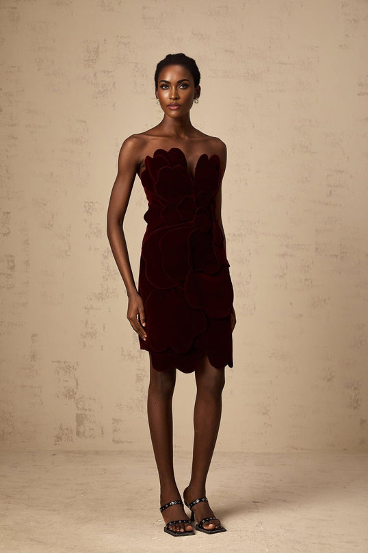 Victoria Red Floral Applique Layered Mini Dress