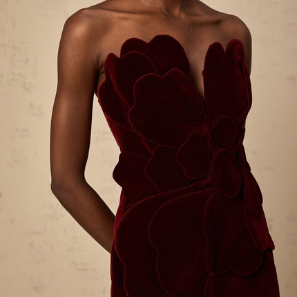 Victoria Red Floral Appliqué Layered Mini Dress