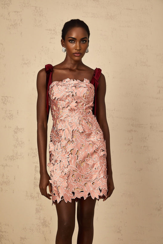 Violetta Pink Floral Embroidered Mini Dress