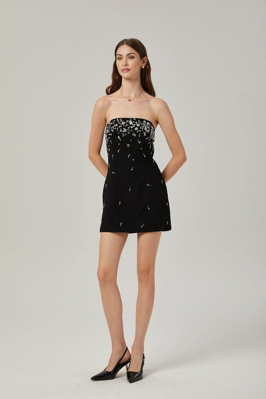 Vittoria Black Crystal Embellished Mini Dress