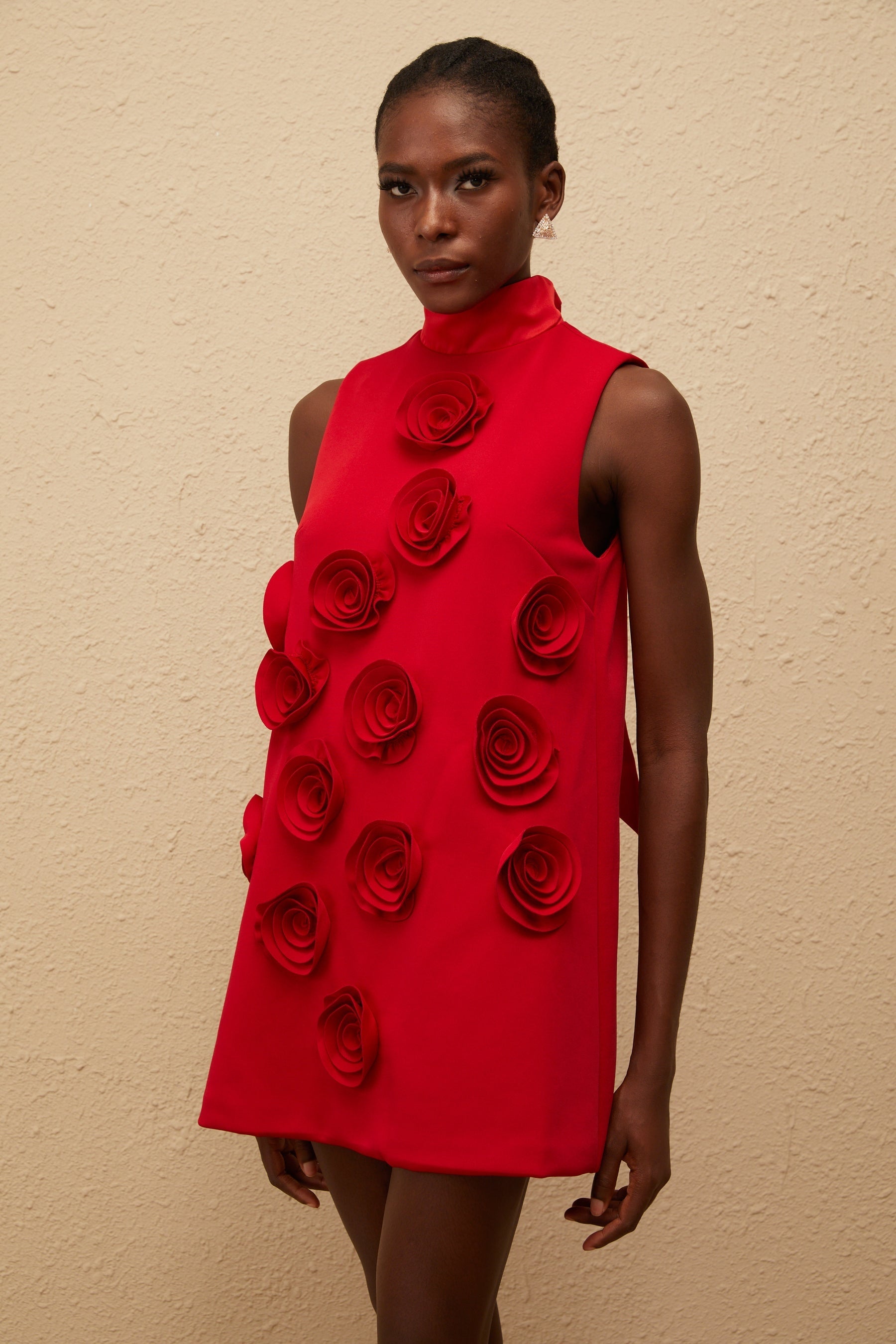 Ysandre Red Rose Appliqué Mini Dress