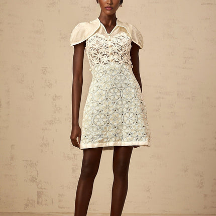 Zaylee White Organza Mini Dress with Floral Embroidery and V-Neck