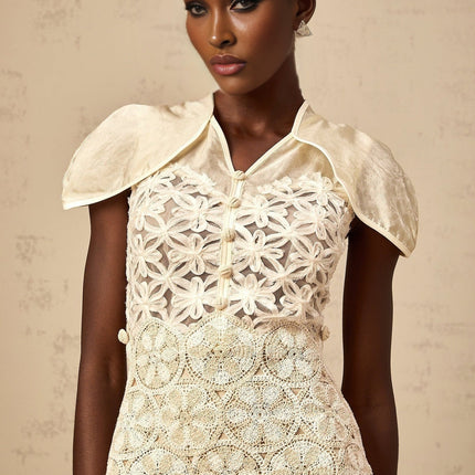 Zaylee White Organza Mini Dress with Floral Embroidery and Cap Sleeves