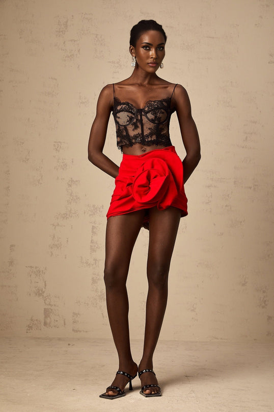 Zelmira Black Lace Corset Top