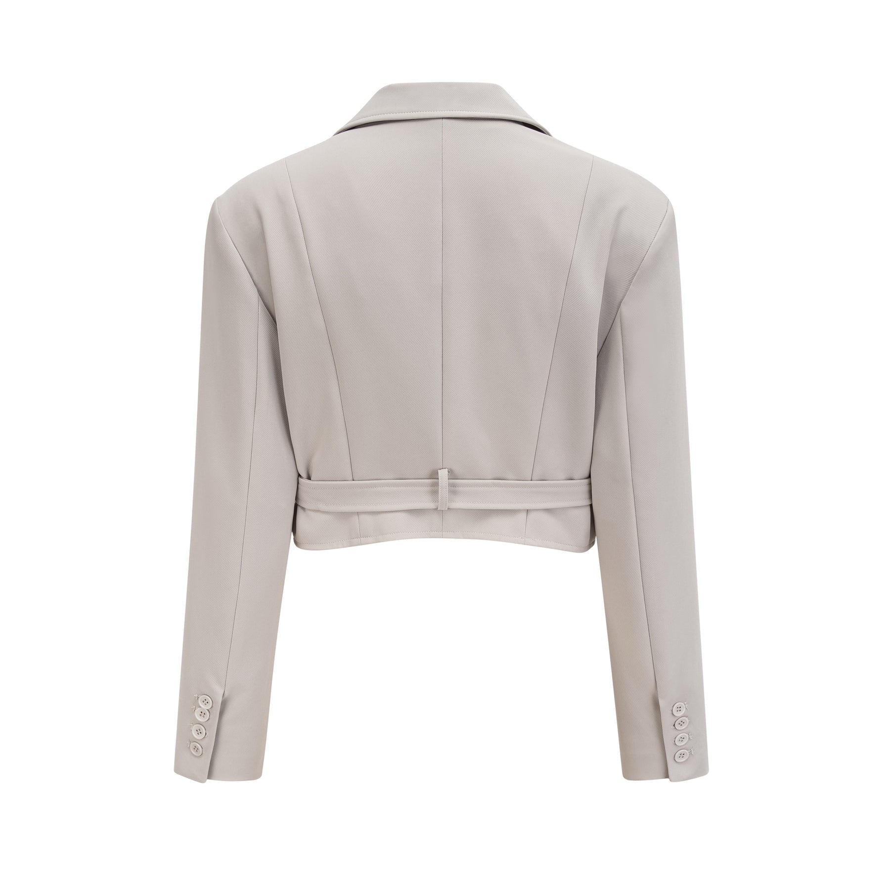 Zoé buckled cropped blazer  skirt matching set
